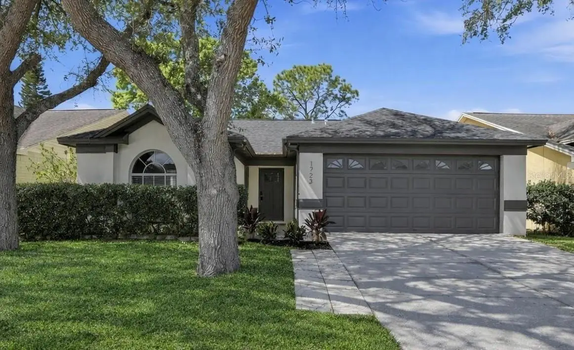 1723 Elk Spring Drive, Brandon, FL 33511 - #1