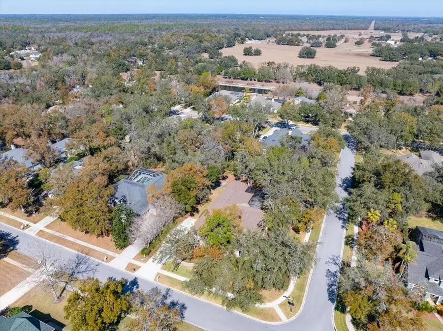 6020 Audubon Manor Boulevard, Lithia, FL 33547 - #2