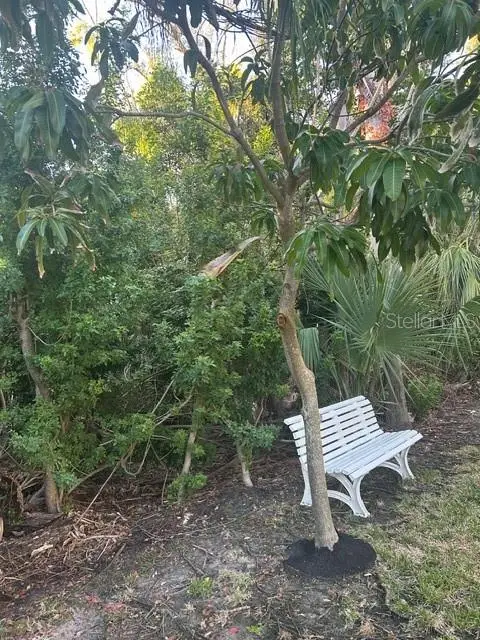 13311 72nd Terrace N, Seminole, FL 33776 - #3