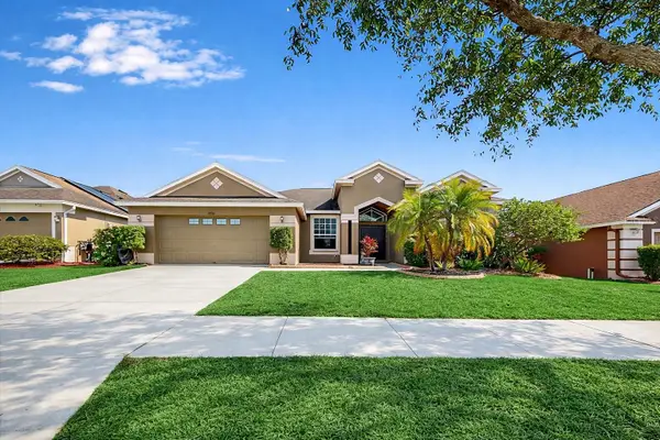 13906 Collier Rock Place, RIVERVIEW, FL 33579