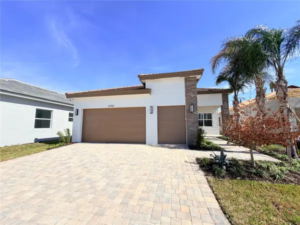 32523 Neroli Street, WESLEY CHAPEL, FL 33543