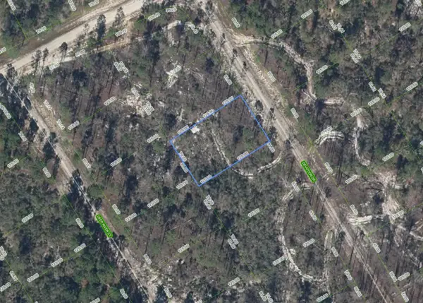 522 Devotion Drive, LAKE PLACID, FL 33852