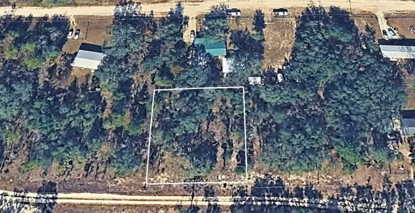 NE 61st Lane, WILLISTON, FL 32696