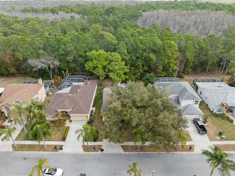 1727 Bayhill Drive, Oldsmar, FL 34677 - #3