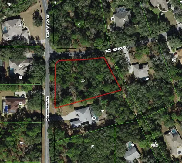 4001 N Ringwood Circle, HERNANDO, FL 34442