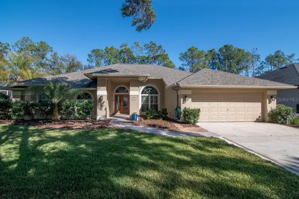 3910 Turkey Oak Drive, VALRICO, FL 33596