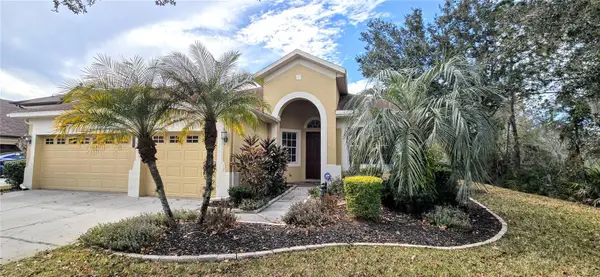 20426 Walnut Grove Lane, TAMPA, FL 33647