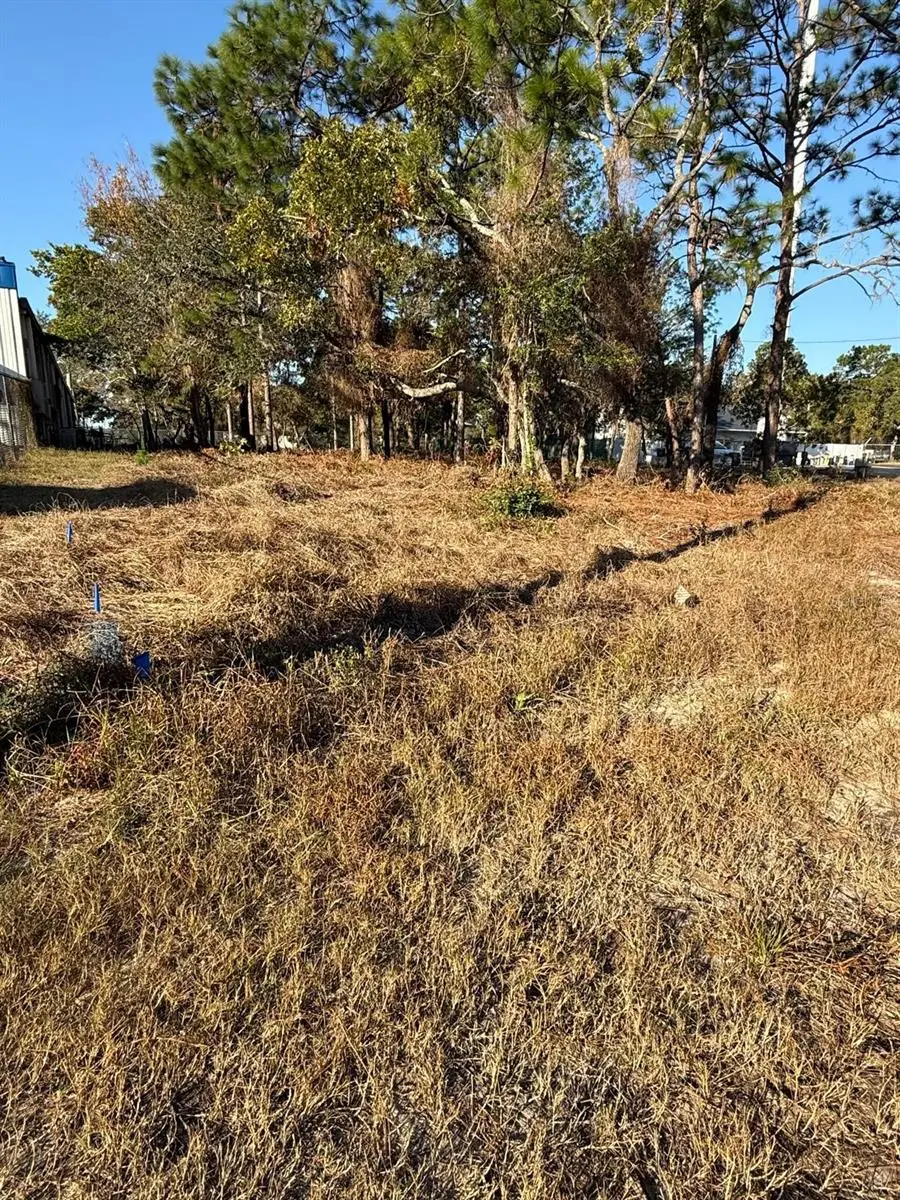 13786 Linden Drive, Spring Hill, FL 34609 - #1