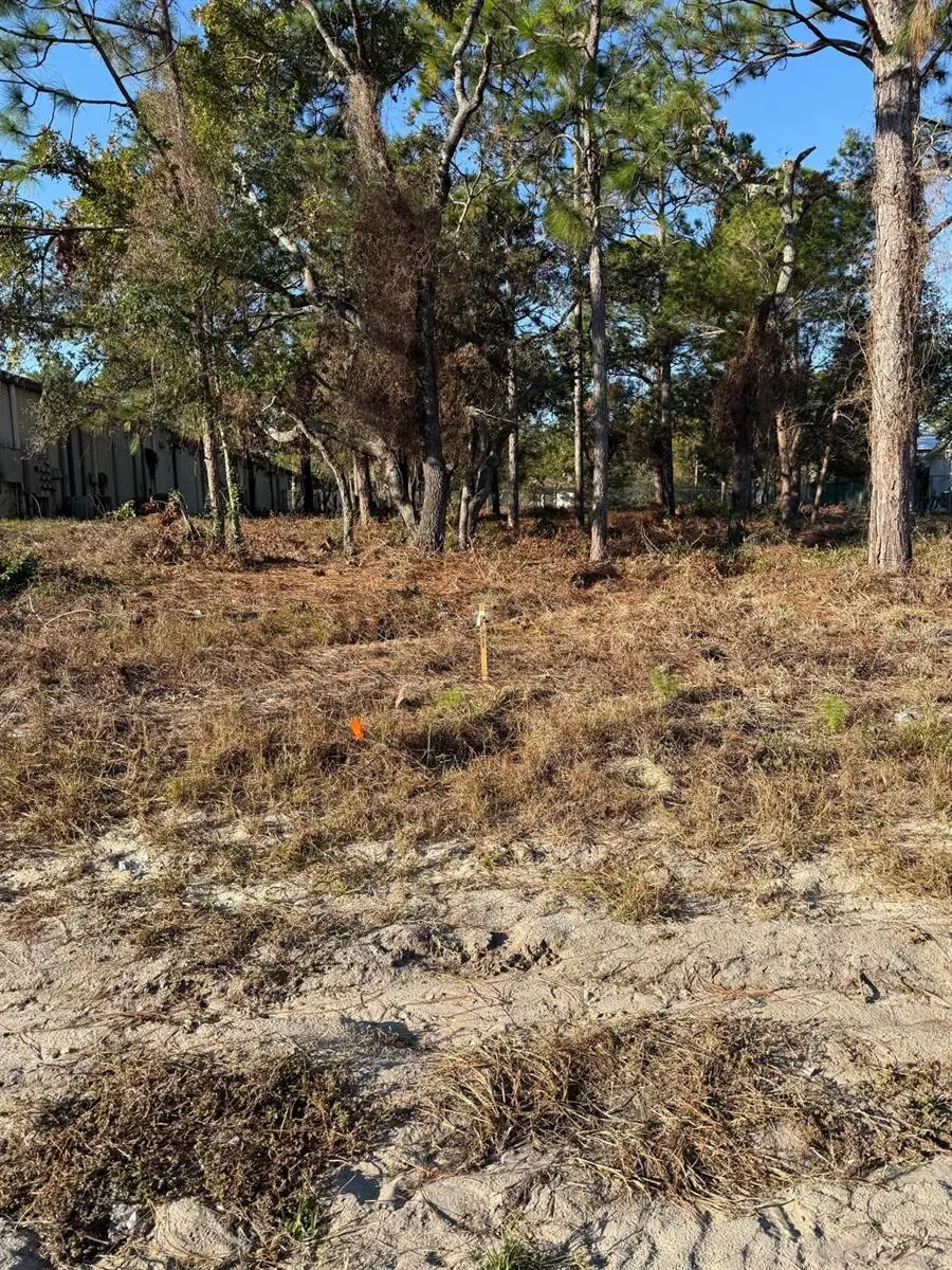 13786 Linden Drive, Spring Hill, FL 34609 - #2