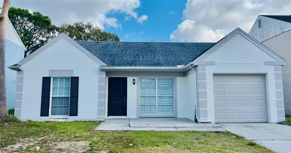 11009 Summer Drive, TAMPA, FL 33624