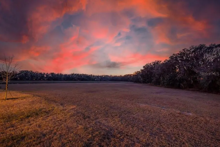 14604 Horse Trot Road, Lithia, FL 33547 - #3