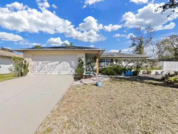 5205 Ripple Creek Drive, TAMPA, FL 33625