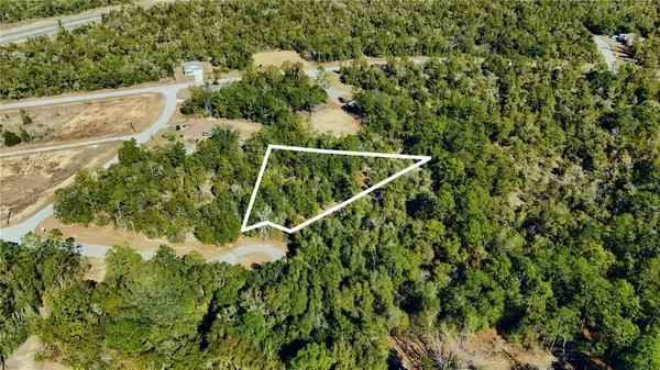 00 Lark Court, CHIPLEY, FL 32428