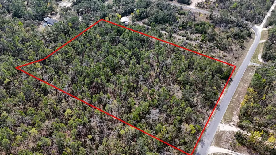 Strickland Land Drive, Perry, FL 32348 - #3