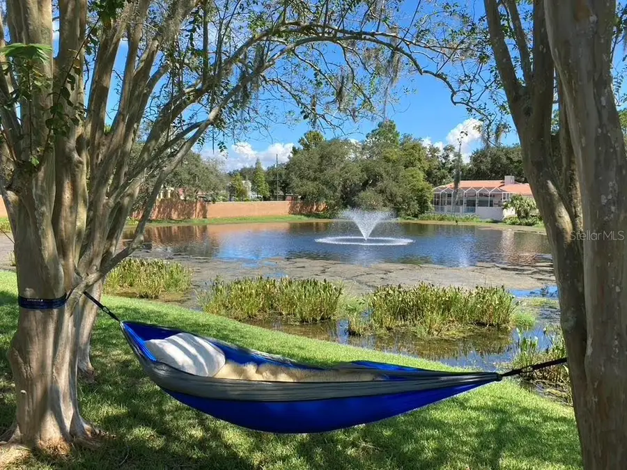 2406 Dana Drive, Safety Harbor, FL 34695 - #2