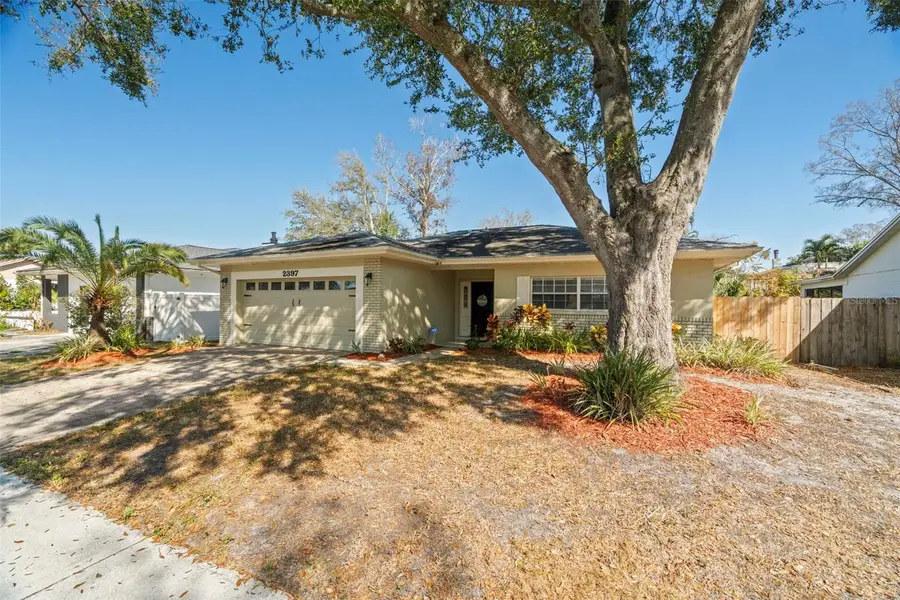 2397 E Orangehill Avenue, Palm Harbor, FL 34683 - #3