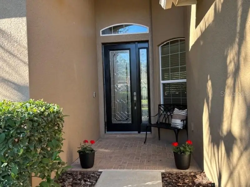 3347 Diamond Falls Circle, Land O Lakes, FL 34638 - #3