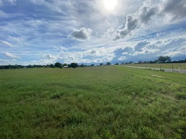 White Road, Brooksville, FL 34602 - #3