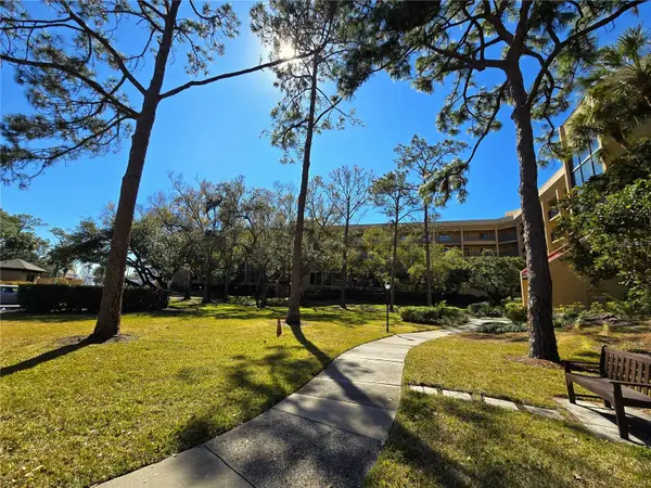 3078 Eastland Boulevard #411, CLEARWATER, FL 33761