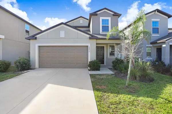 10256 Carloway Hills Drive, WIMAUMA, FL 33598