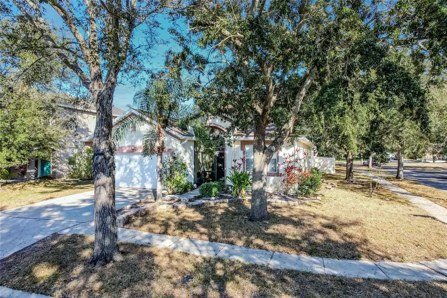 6803 Guilford Crest Drive, Apollo Beach, FL 33572 - #2