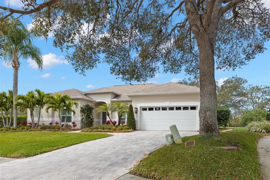 723 Waterside Court, Tarpon Springs, FL 34689 - #3