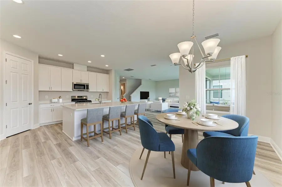 8509 Dove Bog Terrace, Parrish, FL 34219 - #2