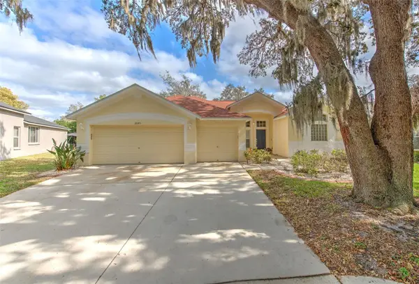 2641 Brookville Drive, VALRICO, FL 33596