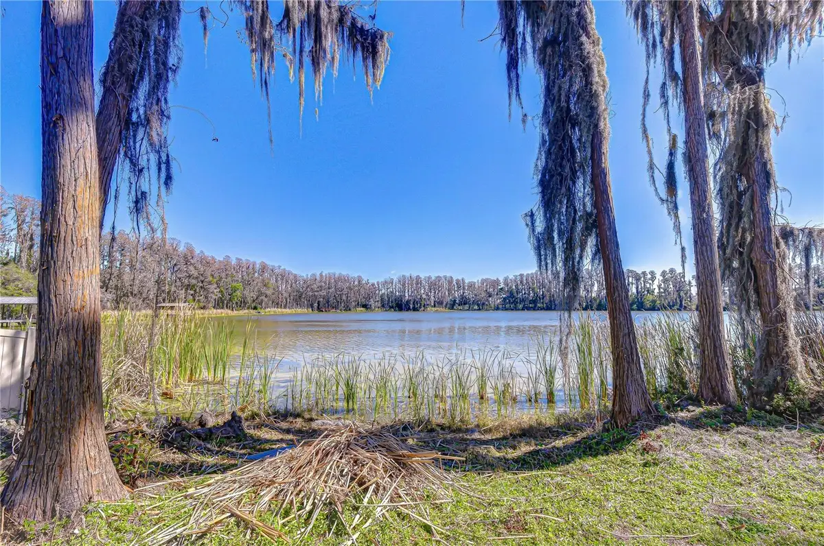 6608 Wisteria Loop, Land O Lakes, FL 34638 - #1