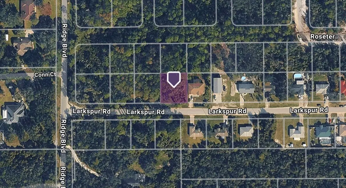 Larkspur Road, Deland, FL 32724 - #1