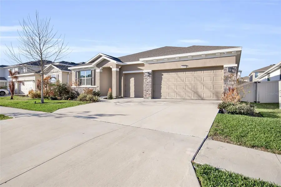 32289 Conchshell Sail Street, Wesley Chapel, FL 33545 - #3