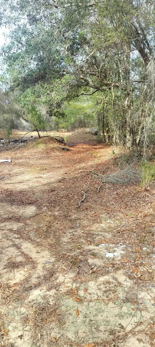 326 Elm Trail, Interlachen, FL 32148 - #3