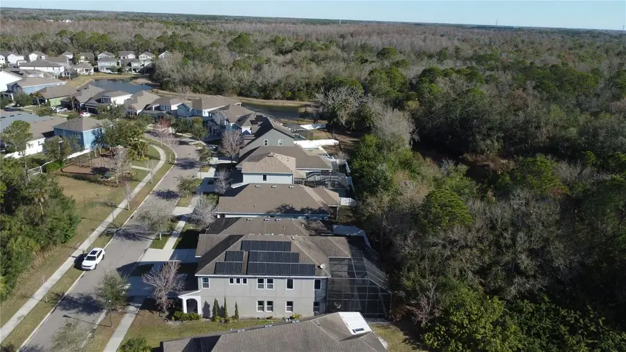 11403 Quiet Forest Drive, Tampa, FL 33635 - #3