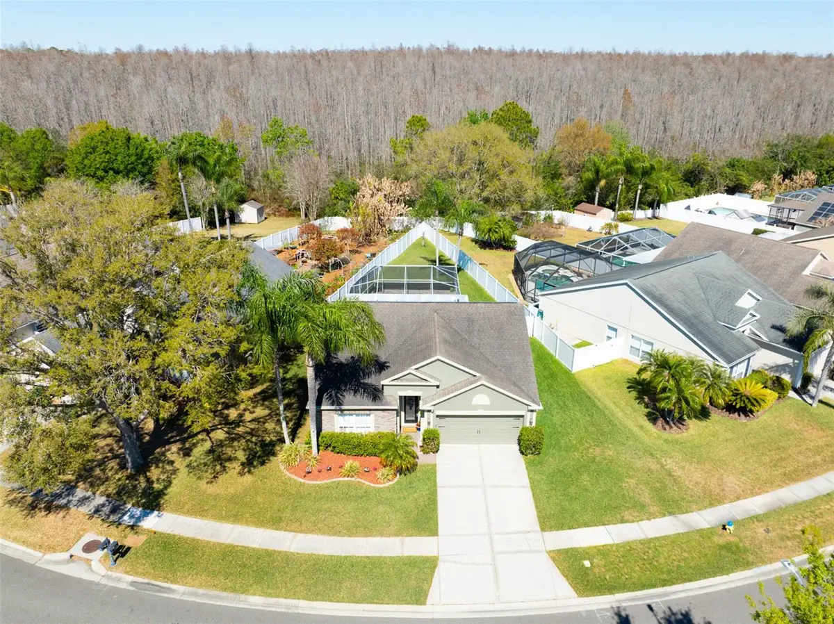 4511 Gulfwinds Drive, Lutz, FL 33558 - #1