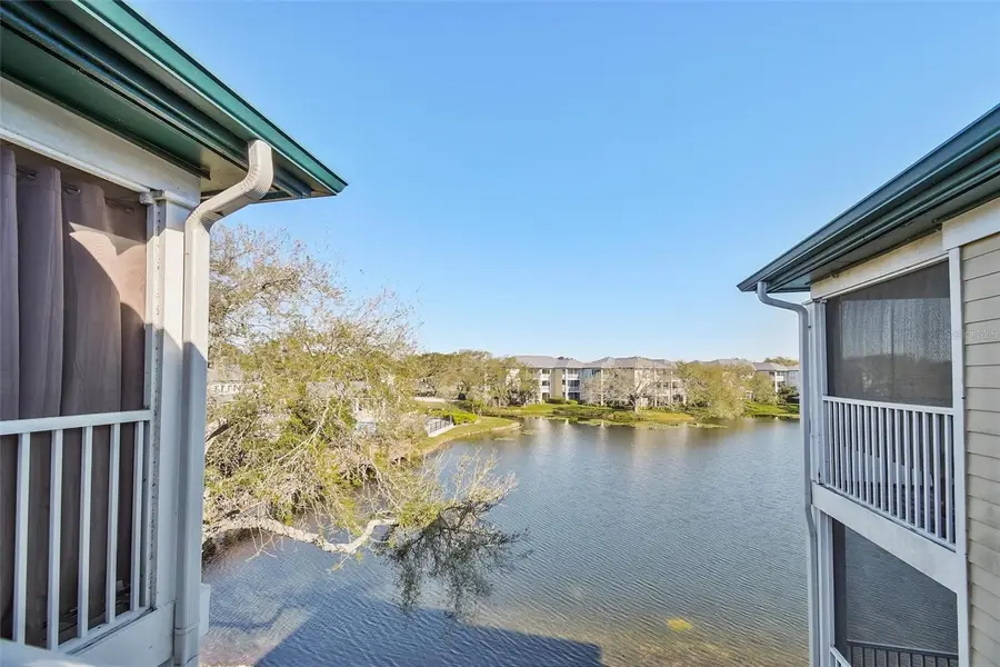 4115 Chatham Oak Court #220, Tampa, FL 33624 - #3