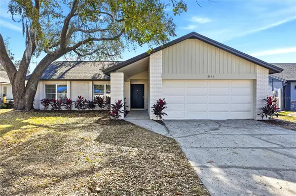 13926 Cherry Dale Lane, TAMPA, FL 33618