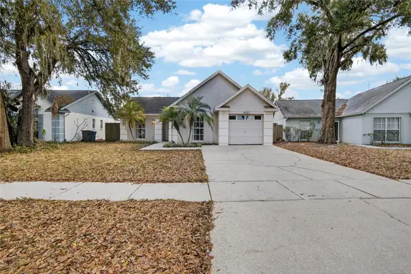 4623 Cabbage Palm Drive, VALRICO, FL 33596