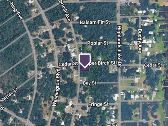 367 Bottlebrush Avenue, Lake Placid, FL 33852 - #3