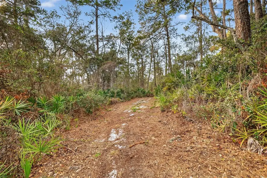 Powell Road, Brooksville, FL 34602 - #2