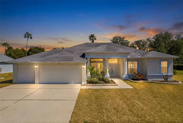 14044 Andrew Scott Road, SPRING HILL, FL 34609