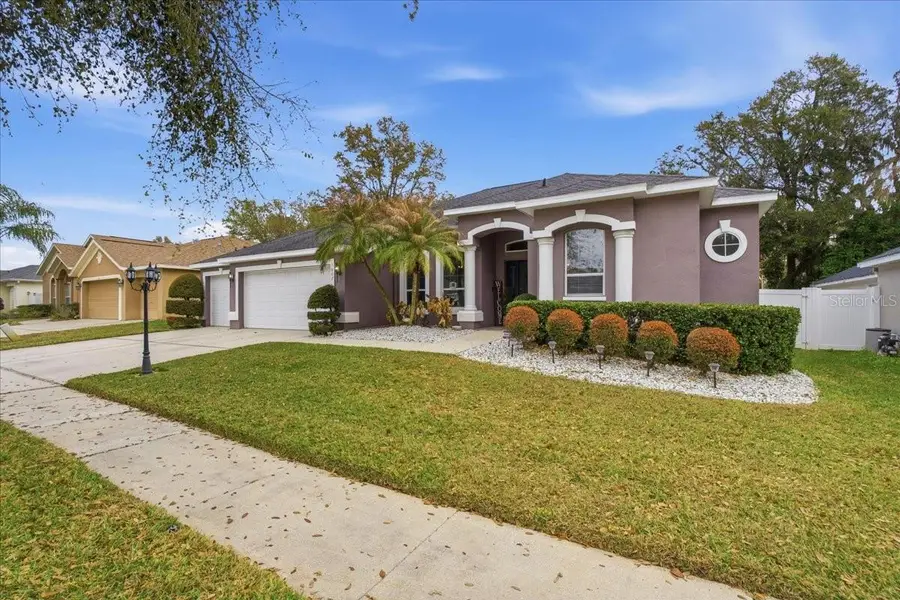 1007 Split Silk Street, Valrico, FL 33594 - #2