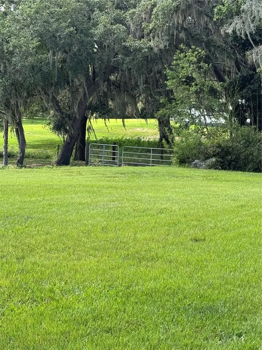 30400 Hillside Lane, Wesley Chapel, FL 33545 - #3