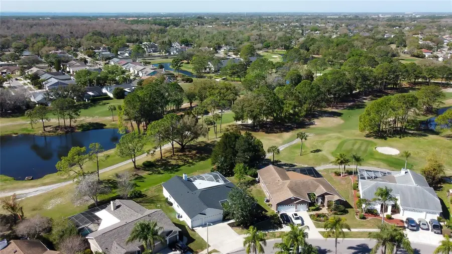 11230 Bloomington Drive, Tampa, FL 33635 - #3