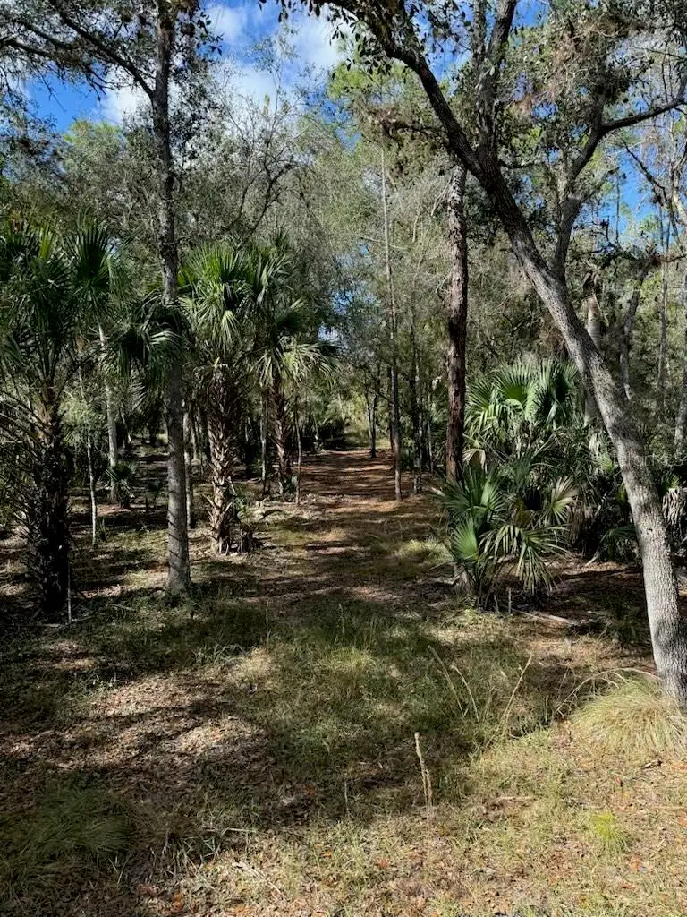 1040 Cracker Hammock, Sebring, FL 33875 - #2