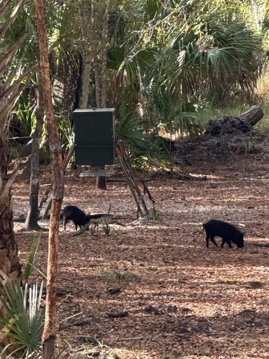 1040 Cracker Hammock, Sebring, FL 33875 - #3