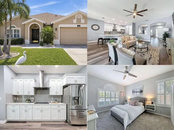 8740 Maple Pond Court, TRINITY, FL 34655