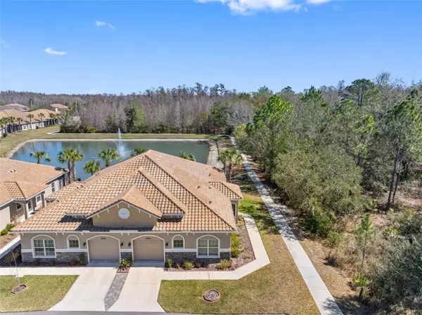 29800 Anand Vihar Drive, WESLEY CHAPEL, FL 33543