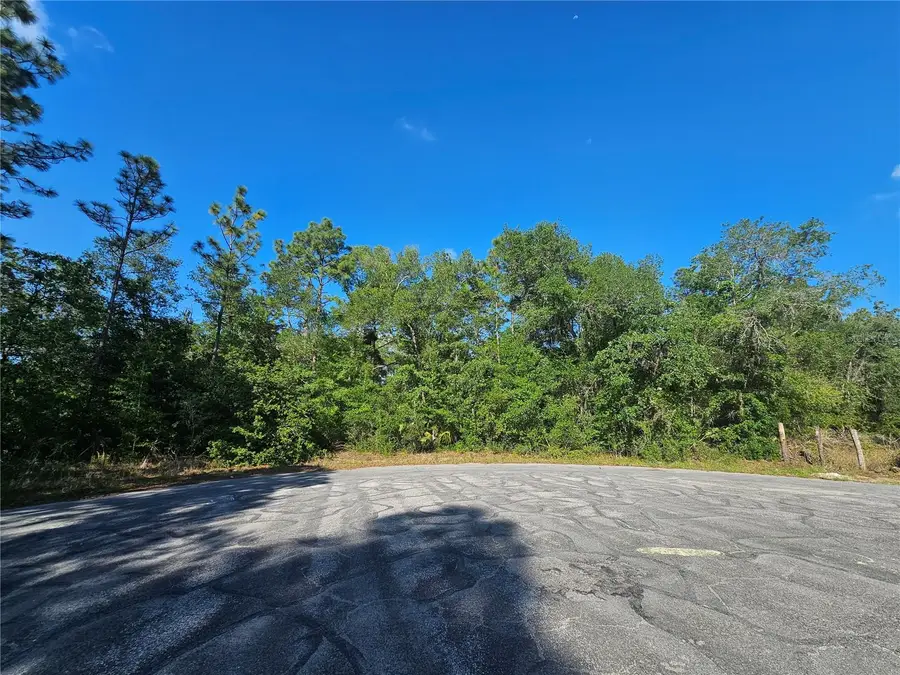 13431 Flagstaff Drive, Brooksville, FL 34614 - #2