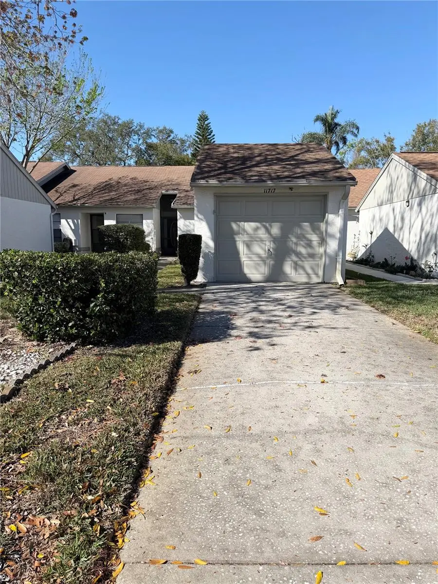11717 Spring Tree Lane, Port Richey, FL 34668 - #2