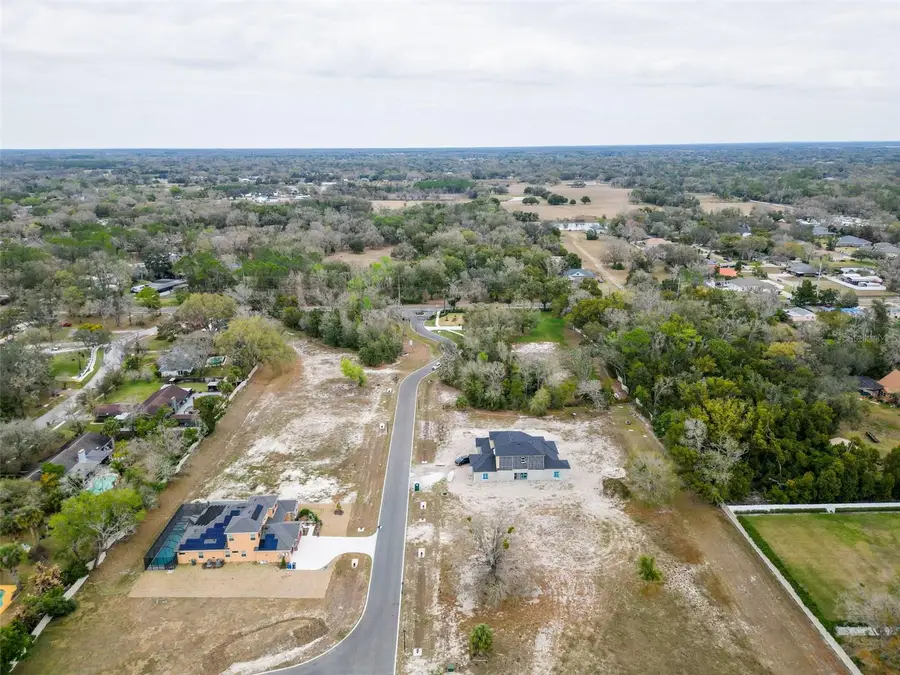 18442 Purple Creek Lane, Lutz, FL 33549 - #3